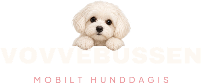Vovvebussen – mobilt hunddagis